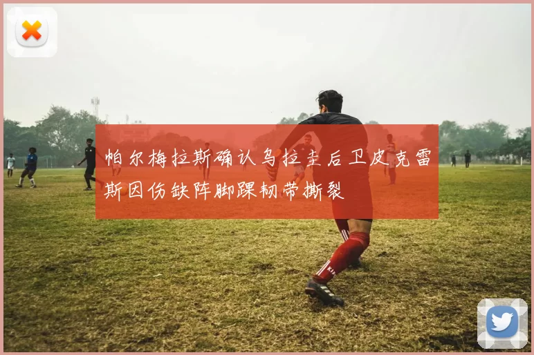 帕尔梅拉斯确认乌拉圭后卫皮克雷斯因伤缺阵脚踝韧带撕裂
